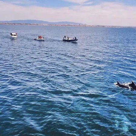 Sunset By Algarve Vacation Villa Carvoeiro (Lagoa)