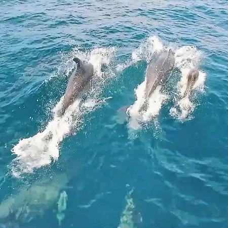 Sunset By Algarve Vacation * Carvoeiro (Lagoa)